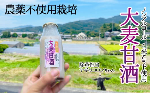 米こうじ『大麦甘酒』（もち麦入りあまざけ）≪農薬不使用≫≪ノンアルコール飲料≫e14-1