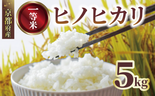 【先行予約】 一等品 京都府産 ヒノヒカリ 5kg 白米 宇治 ごはん 白米 お米 米 コメ こめ はくまい 宇治 ごはん ひのひかり 令和7年産 京都 京都府 減農薬 ふるさと納税米 数量限定