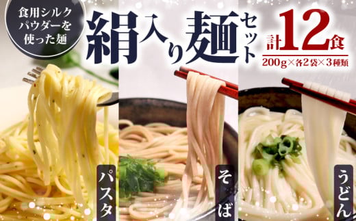 絹入り麺セット ( うどん そば  パスタ ) 約12食 計6袋 (各200g×2袋) シルクパウダー シルクの麺 蕎麦 スパゲティ スパゲッティ 麺セット セット 麺 麺類 乾麺セット 乾麺シルク 絹 ふるさと納税うどん ふるさと納税そば ふるさと納税パスタ 人気 おすすめ 京都 丹後 与謝野 加悦