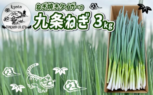 ねぎ焼きタイガーの九条ねぎ 3kg 《2025年11月～12月発送》 ねぎ ネギ 葱 九条ねぎ 九条ネギ 九条葱 野菜 京野菜 農家直送 新鮮 甘さ 甘い 人気 おすすめ ねぎ焼きタイガー 京都 八幡 とらこ