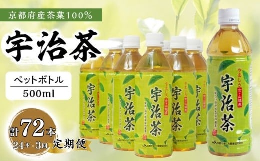 【3回定期便】 京都産 宇治茶 ペットボトル 500 ml × 24本 （京都府産 京都産 お茶 茶 京都 宇治 宇治茶  緑茶 ペットボトル 500 24本 常温 煎茶 かぶせ茶 熱中症対策 熱中症予防 熱中症 備蓄 夏 京都府 3ヶ月 3か月 3カ月