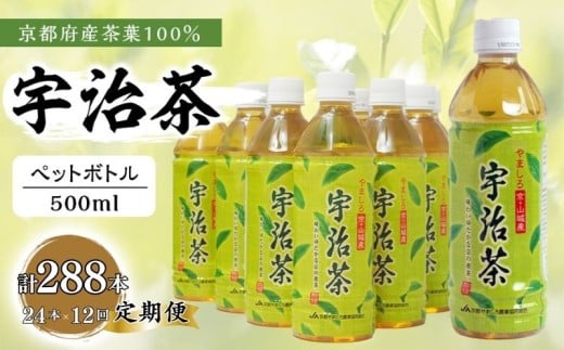 【12回定期便】 京都産 宇治茶 ペットボトル 500 ml × 24本 (京都府産 京都産 お茶 茶 京都 宇治 宇治茶  緑茶 ペットボトル 500 24本 常温 煎茶 かぶせ茶 熱中症対策 熱中症予防 熱中症 備蓄 夏 京都府 12ヶ月 12か月 12カ月