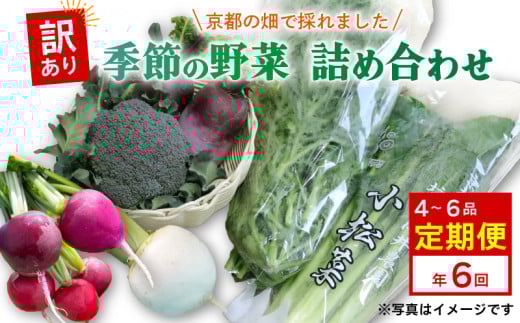 訳あり 定期便 6回 京都 季節の野菜 セット 4〜6品 詰め合わせ 小松菜 ルッコラ わさび菜 菊菜 ねぎ なす 大根 ブロッコリー トマト 久御山 野菜 サラダ おひたし 鍋 食育