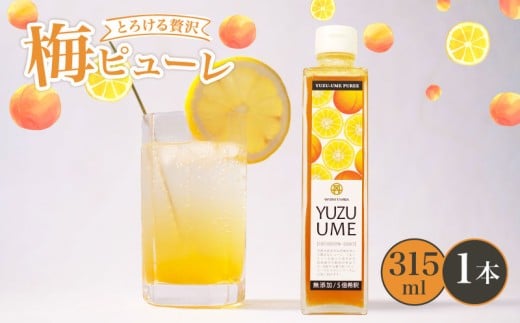 無添加 梅ピューレYUZUUME 1本 315ml 梅ピューレ ジュレ フルーツ 果物 梅 完熟梅 うめ 国産 柚子 ゆず 柑橘 ジュース 梅ジュース ピューレ シロップ フルーツシロップ 果肉 常温 炭酸水 炭酸割 人気 おすすめ さわやか 濃厚 瓶 贈り物 ギフト プレゼント ヨーグルト 割材 炭酸割 お酒 焼酎 カクテル 京都府 京都 京丹波町 京丹波