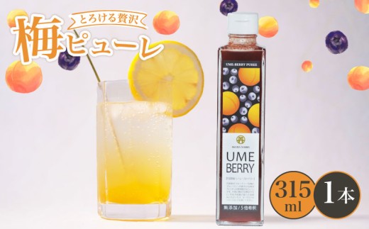 無添加 梅ピューレUMEBERRY 1本 315ml 梅ピューレ ジュレ 無添加 フルーツ 果物 梅 完熟梅 うめ ブルーベリー ベリー ジュース 梅ジュース ピューレ シロップ フルーツシロップ 果肉 常温 炭酸水 炭酸割 人気 おすすめ さわやか 濃厚 瓶 贈り物 ギフト プレゼント ヨーグルト 割材 炭酸割 お酒 焼酎 カクテル 京都府 京都 京丹波町 京丹波