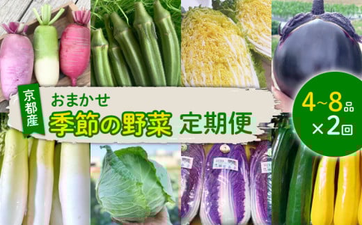 [定期便2回] 野菜 セット 4〜8種 詰め合わせ 京都 西村農園 久御山町 おまかせ 旬 旬野菜 なす ピーマン キャベツ かぶ とうもろこし 大根 カリフラワー ブロッコリー