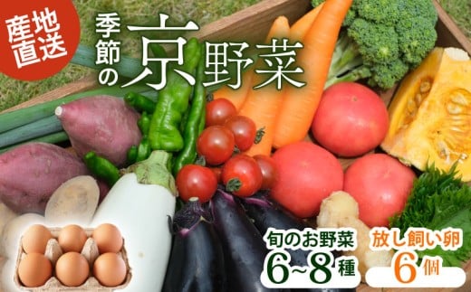 [産地直送]旬のお野菜詰め合わせ 6〜8種類 卵 6個付き ( 京野菜 野菜 お野菜 やさい セット 野菜セット 詰め合わせ 詰め合わせセット 季節 旬 旬野菜 産地直送 栄養 安心 新鮮 おすすめ たまご ネラ 放し飼い きよしファーム 南丹市 南丹 京都府 京都 )