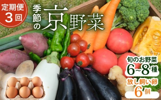 【定期便3回】【産地直送】旬のお野菜詰め合わせ 6～8種類 卵 6個付き ( 京野菜 野菜 お野菜 やさい セット 野菜セット 詰め合わせ 詰め合わせセット 季節 旬 旬野菜 産地直送 栄養 安心 新鮮 おすすめ たまご ネラ 放し飼い きよしファーム 南丹市 南丹 京都府 京都 3ヶ月 3か月)