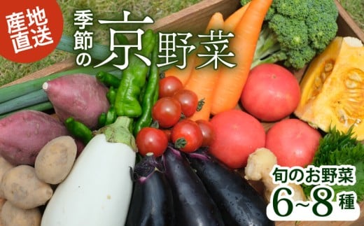【産地直送】旬のお野菜詰め合わせ 6～8種類 ( 京野菜 野菜 お野菜 やさい セット 野菜セット 詰め合わせ 詰め合わせセット 季節 旬 旬野菜 産地直送 栄養 安心 新鮮 おすすめ きよしファーム 南丹市 南丹 京都府 京都 )