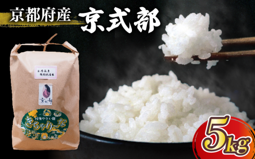 [令和7年産 新米] 京都府産 米 京式部 5kg 白米 精米 国産 京都 こめ おこめ ブランド米 2025年度 JA JA京都 京都府産 京都府 コシヒカリを基準米としたブランド米