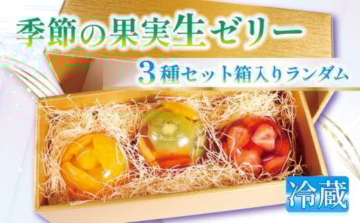 フルーツたっぷり果実生ゼリー 詰め合わせ セット ランダム 3種 化粧箱 入り 高級 デザート スイーツ お取り寄せ ご褒美 贅沢 ゼリー 贈答 プレミアム ギフト 御歳暮 お歳暮  化粧箱 プレゼント 旬の果物 たっぷり 果実 ふるさと納税 ふるさと納税フルーツ フルーツゼリー ふるさと納税ゼリー フルーツパーラー 千馬Miyabi 京都府 城陽市