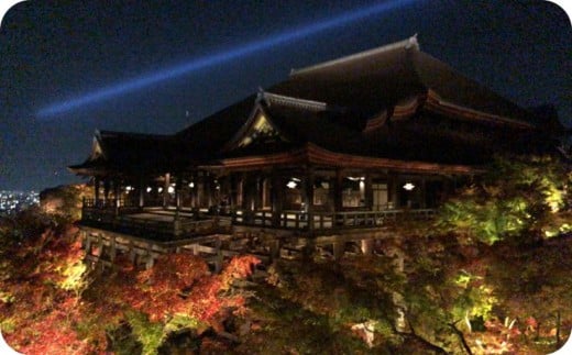 [30名限定!]執事 森清顕氏と巡る清水寺夜間特別拝観(11月) ※寄附金は文化財保護に使途を限定しています。