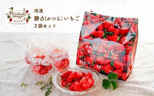 冷凍 勝占(かつら)いちご 3袋セット