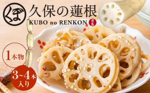 蓮根 1本物 3～4本入り れんこん