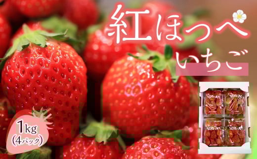 いちご (紅ほっぺ)約250g×4パック(約1kg)
