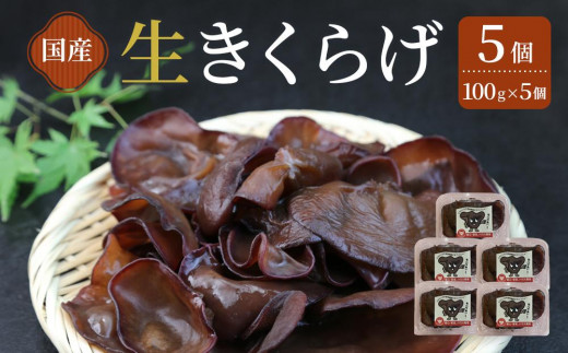 生きくらげ 5個（100g×5）