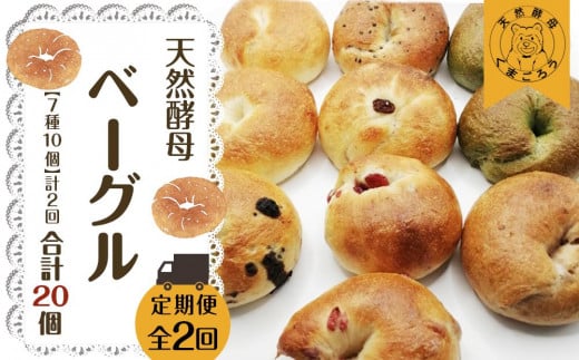 【定期便2回】天然酵母のベーグル (7種類 計10個)×2回 計20個 パン