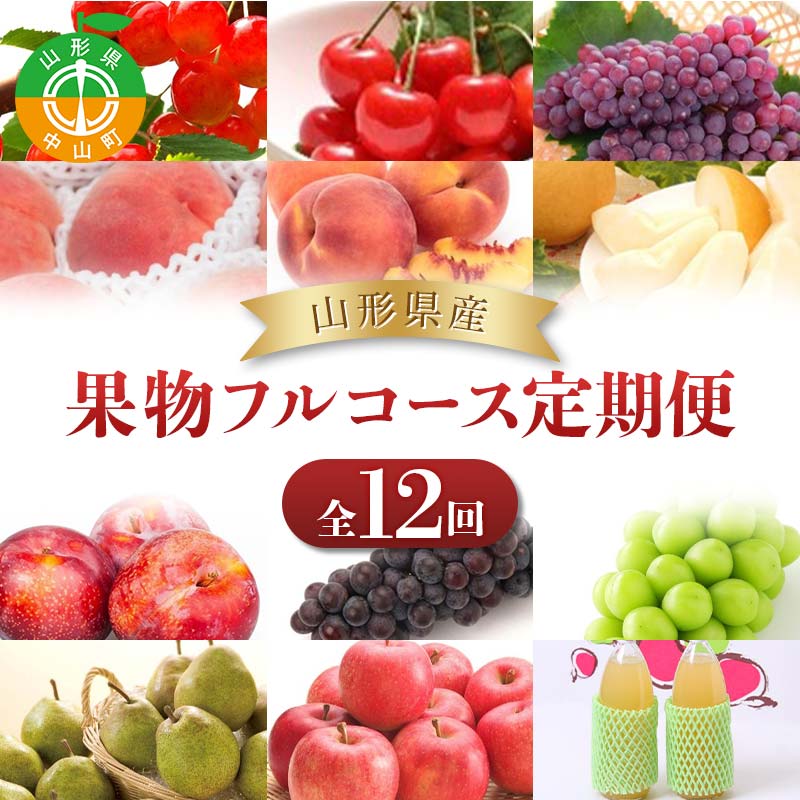 【定期便 12回】山形県産 果物フルコース定期便 くだもの フルーツ さくらんぼ 佐藤錦 紅秀峰 桃 もも すもも 和梨 豊水 幸水 秋姫 ぶどう シャインマスカット デラウェア スチューベン ラ・フランス ラフランス りんご 山形県 中山町 F4A-0492