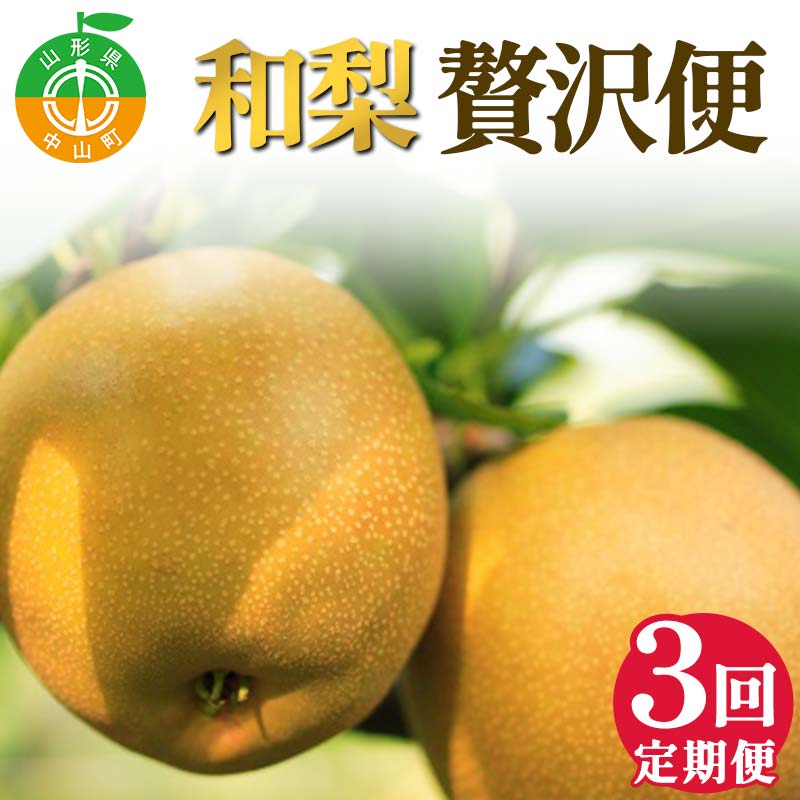 2025年先行受付 【定期便3回】和梨贅沢便 梨 なし 山形県 中山町 F4A-0491