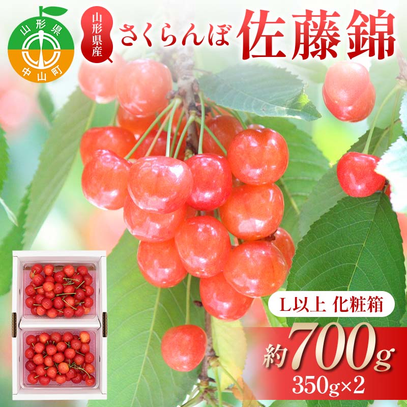 【先行受付】さくらんぼ佐藤錦 約700g（約350g×2P） L以上化粧箱 果物 くだもの フルーツ 夏果物 サクランボ F4A-0947