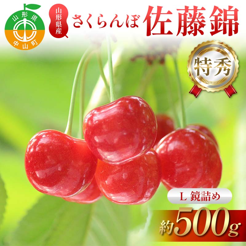 【先行受付】さくらんぼ佐藤錦 約500g L 特秀 鏡詰め 果物 くだもの フルーツ 夏果物 サクランボ F4A-0949