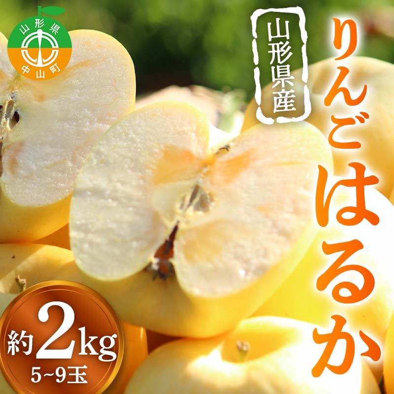 山形県産りんご はるか 約2kg 5~9玉 黄色 林檎 リンゴ 果物 くだもの フルーツ 山形県産 F4A-0914