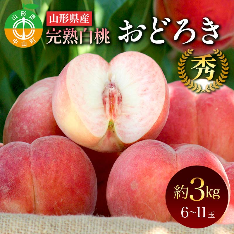 山形県産 完熟白桃おどろき 約3kg 秀 桃 もも フルーツ果物 くだもの 山形県 中山町 F4A-0921