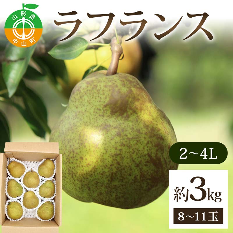 ラフランス約3kg 2~4L 8~11玉 らふらんす 果物 くだもの フルーツ 山形県産 F4A-0937