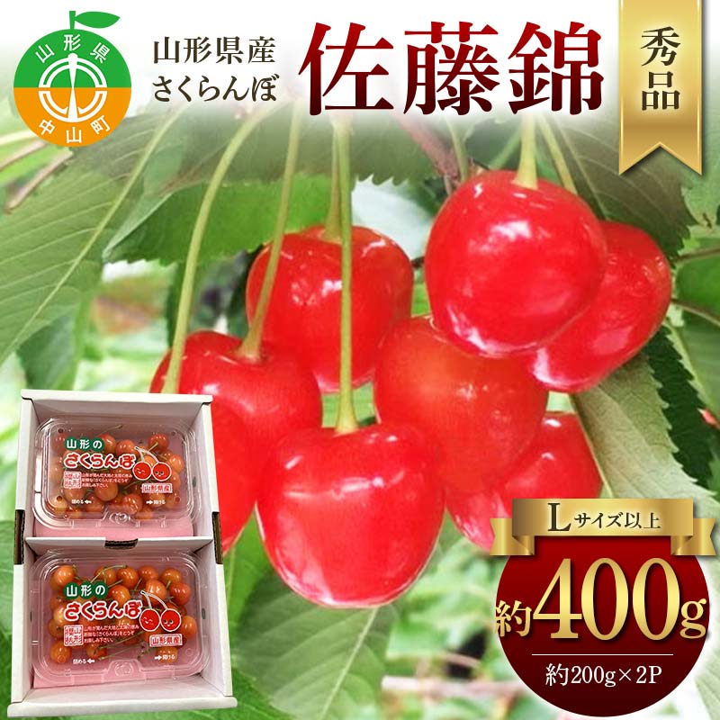 令和8年産【先行受付】山形県産さくらんぼ＜佐藤錦＞秀品 約400g(200g×2P) Lサイズ以上 期間限定 数量限定 山形県産 サクランボ フルーツ 果物 くだもの 贈答 F4A-0963