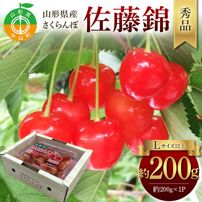 令和8年産【先行受付】山形県産さくらんぼ<佐藤錦>秀品 約200g×1P Lサイズ以上 期間限定 数量限定 山形県産 サクランボ フルーツ 果物 くだもの 贈答 F4A-0965