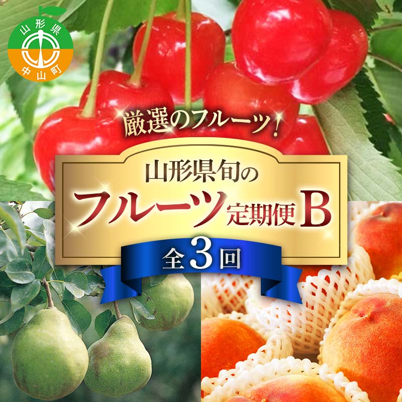 令和8年6月発送開始 山形県 厳選のフルーツ! 山形県旬のフルーツ定期便B全3回 佐藤錦 白桃 ラフランス 期間限定 数量限定 山形県産 サクランボ 桃 梨 フルーツ 果物 くだもの 贈答 F4A-0969