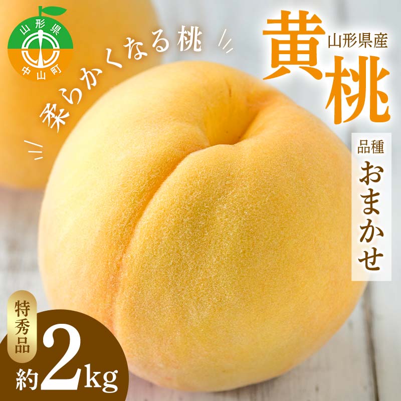 《2026年先行予約》山形県産 黄桃 品種おまかせ 特秀品 柔らかくなる桃 約2kg（黄金桃、スイート光黄、黄ららの極み、黄貴妃 他） F4A-0468
