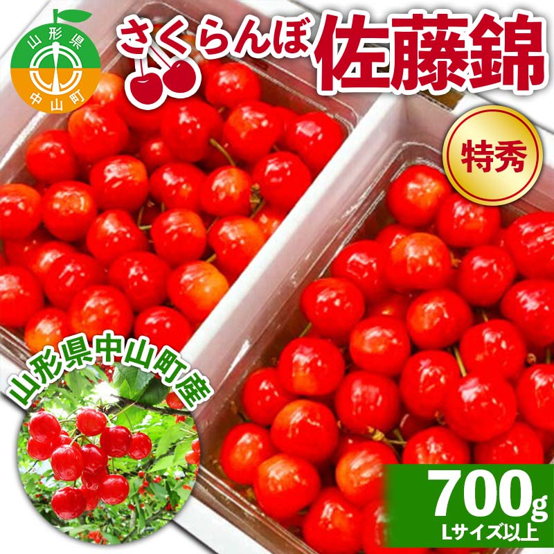 《2026年先行予約》山形県中山町産さくらんぼ《佐藤錦特秀品》 700g Lサイズ以上 山形県産 サクランボ フルーツ 果物 F4A-0106