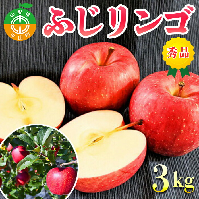 【2025年先行予約】山形県中山町産ふじリンゴ《秀品》 3kg 期間限定 数量限定 山形県産 フルーツ くだもの 果物 りんご 林檎 F4A-0108