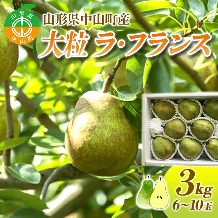 【2025年先行予約】山形県中山町産 大粒「ラ・フランス」3kg(6~10玉) 特秀品 期間限定 数量限定 山形県産 フルーツ くだもの 果物 ラフランス ナシ 梨 洋なし 洋梨 F4A-0109