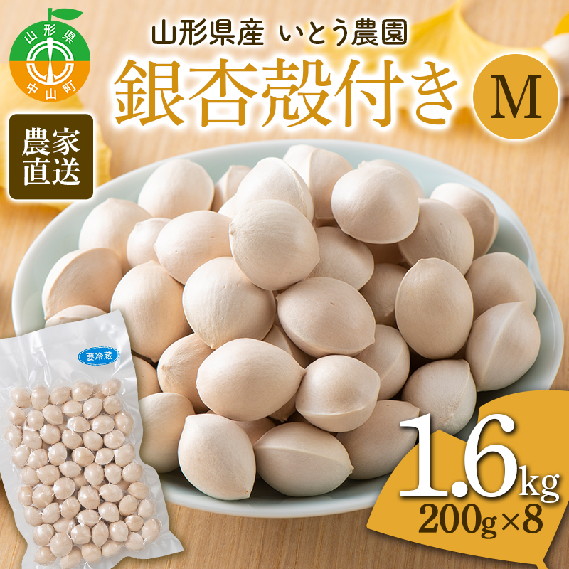 農家直送銀杏殻付き Lサイズ 1.2kg(200g×6)山形県産 ぎんなん《いとう農園》 茶碗蒸し おつまみ 季節限定 F4A-0309
