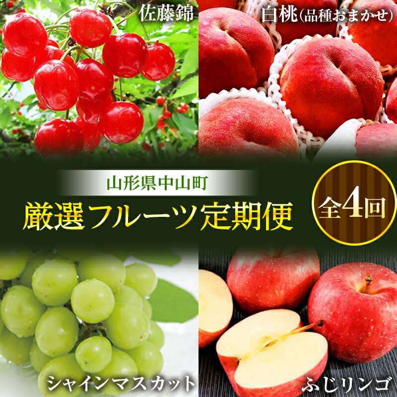 《先行予約》山形県中山町 厳選フルーツ定期便 全4回【2025年6月開始】 佐藤錦 白桃 シャインマスカット ふじりんご さくらんぼ モモ もも ブドウ ぶどう リンゴ 山形県産 フルーツ 果物 くだもの 連続 F4A-0367