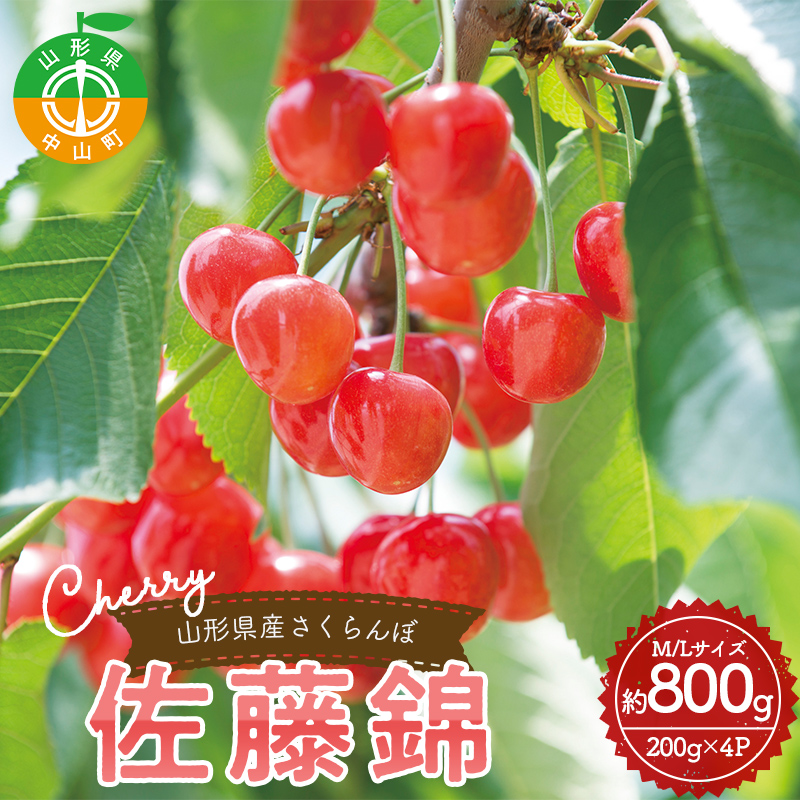 《2026年産先行予約》 山形県産さくらんぼ<佐藤錦>秀品 約800g (200g×4パック) M/Lサイズ混合 サクランボ フルーツ 果物 くだもの F4A-0372