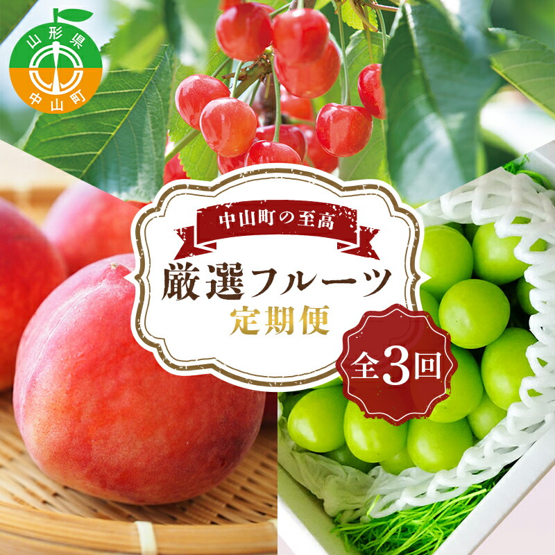《2025年5月発送開始》中山町の至高！中山町厳選フルーツ定期便 全3回 紅さやか 白桃 シャインマスカット さくらんぼ サクランボ 葡萄 ぶどう ブドウ 桃 もも モモ 山形県産 フルーツ 果物 くだもの 連続 F4A-0373