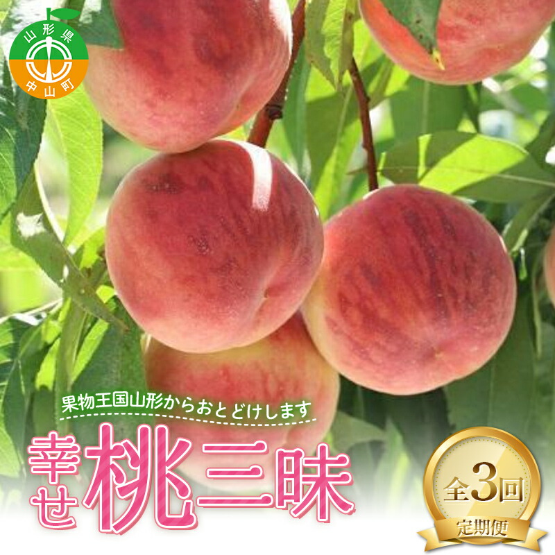 【定期便 3回】幸せ♪桃三昧 白桃 黄桃 果物 フルーツ 山形県 中山町 F4A-0444