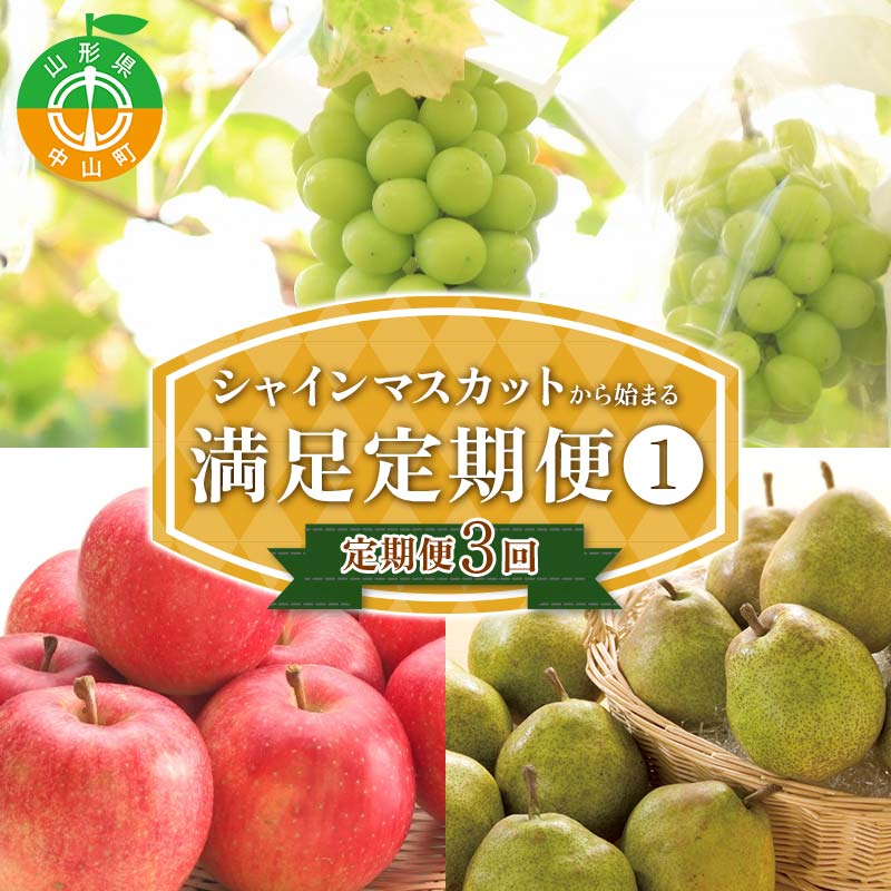 【定期便 3回】シャインマスカットから始まる満足定期便(1) シャインマスカット ラ・フランス 洋梨 梨 りんご サンふじりんご 果物 フルーツ 山形県 中山町 F4A-0449