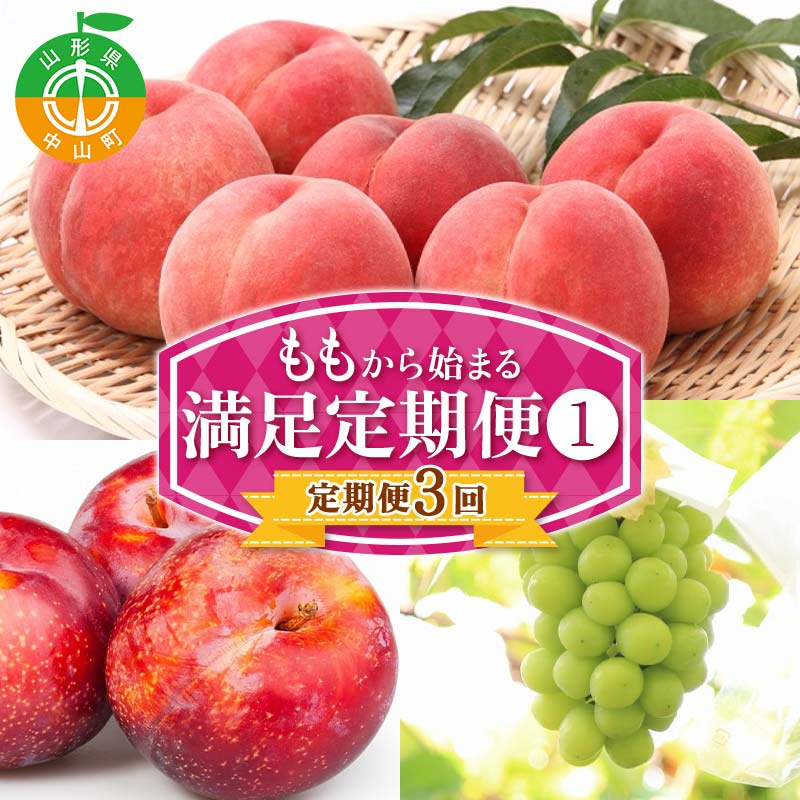 【定期便 3回】桃から始まる満足定期便(1) 桃 もも 白桃 すもも 秋姫 シャインマスカット 果物 フルーツ 山形県 中山町 F4A-0451