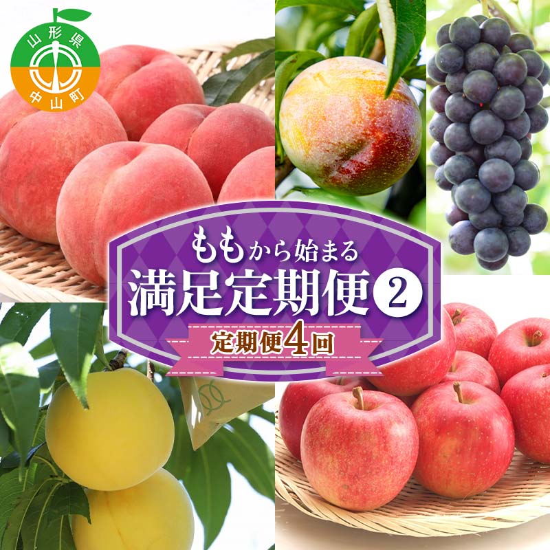 【定期便 4回】桃から始まる満足定期便(2) 桃 もも 白桃 すもも 秋姫 シャインマスカット 果物 フルーツ 山形県 中山町 F4A-0452