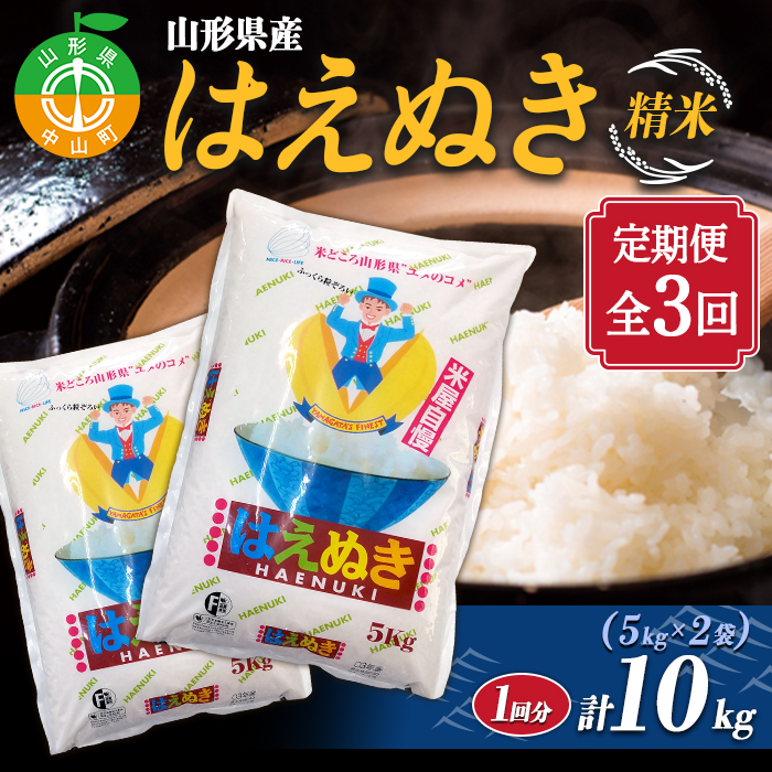 【定期便】【令和7年度産】 山形県産 はえぬき精米 5kg×2袋計10kg×3回 ≪2025年10月より順次発送≫ ブランド米 こめ ご飯 ごはん 白米 毎月届くF4A-0504