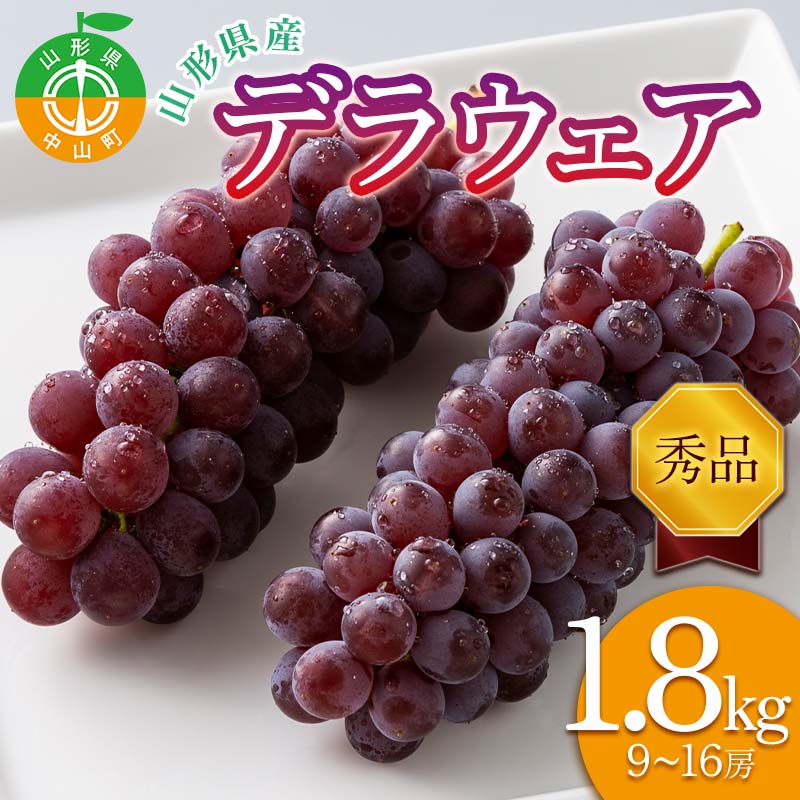 ≪2026年先行予約≫山形県産 デラウェア 1.8kg(9~16房) 秀品 2026年8月上旬から順次発送 種無し 食べやすい ぶどう ブドウ 葡萄 くだもの 果物 フルーツ 夏果実 数量限定 F4A-0529