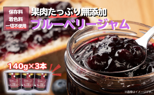 山口県宇部産 ブルーベリージャム 140g×3個セット  | ブルーベリー ジャム 完熟 新鮮 アントシアニン 甘み 酸味 バランス 食べやすい おやつ デザート フルーツ 果実 くだもの  山口県 宇部市