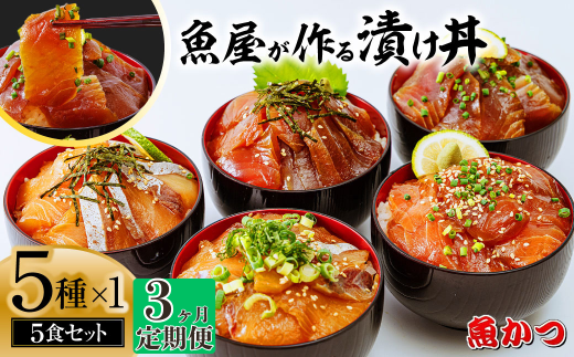 【3ヶ月 定期便】漬け丼 5種×1パック 計5食セット  | 漬け丼 定期便 海鮮 惣菜 冷凍 真空パック 小分け 海鮮丼 海鮮セット 詰め合わせ 旬の鮮魚 ハマチ カンパチ カツオ 鯖 サバ ヒラマサ 平政 マグロ アジ ヒラメ 鯛 漬け づけ丼 お茶漬け ごはん 山口県 宇部市