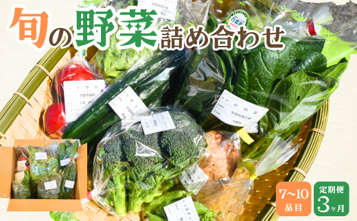 【3ヶ月定期便】新鮮野菜の産直 7~10品目 <楠こもれびの郷「楠四季菜市」>【新鮮野菜 宇部市産 季節野菜 詰合せ 直送 野菜セット 旬の野菜 地元産 新鮮食品 野菜ボックス】
