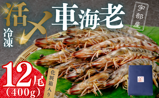 [活き〆]冷凍車海老 12尾 400g (化粧箱)[えび エビ 海老 海鮮 冷凍 活き〆 宇部産 車海老 車エビ エビフライ 塩焼 天ぷら お鍋 鮮度抜群 海の幸 簡単調理 プリプリ食感 大容量 化粧箱 ご贈答]