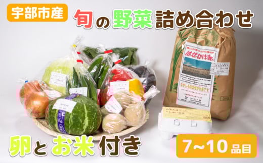 宇部産のお米と野菜 <楠こもれびの郷「楠四季菜市」>【新鮮野菜 宇部市産 季節野菜 詰合せ 直送   野菜セット 旬の野菜 地元産 新鮮食品 野菜ボックス】
